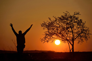 Silhouette of a tree and a man in sunset background