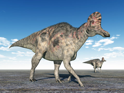 Dinosaur Corythosaurus