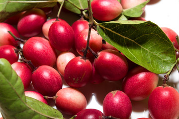 Mango Lemon acclaim for