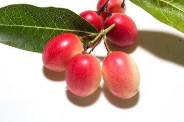 Mango Lemon acclaim for