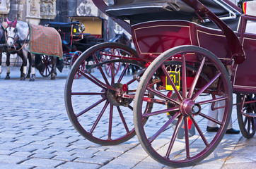 Fototapeta na wymiar Horse carriage in front of saint Stephen's cathedral at Vienna