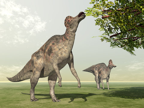 Dinosaur Corythosaurus