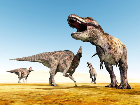 Tyrannosaurus Rex and Corythosaurus