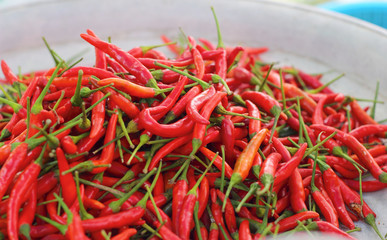 Red chili in the market