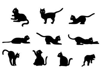 Cat Vector