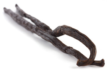 Two pods of whole vanilla on white