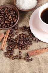 Robusta Coffee Beans on Goni Sack