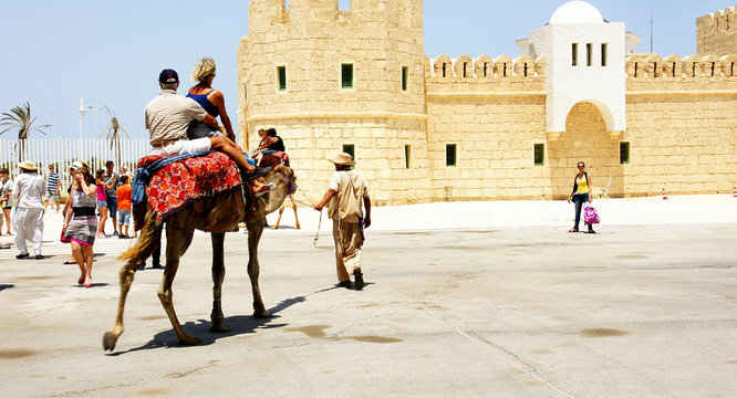 Camellos para turistas en el puerto de La Goulette, T&uacute;nez