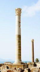 Termas de Antonino en Túnez