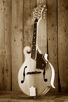 bluegrass mandoline