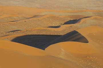 Sanddünen in der Namib (Sossusvlei)