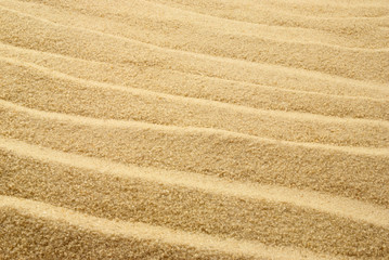 Sandy background.