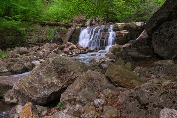 Forest waterfall in summer day