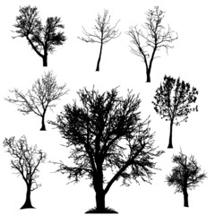 Obraz premium Vector silhouette of tree.