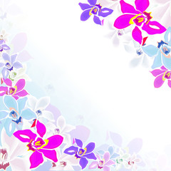 Obraz na płótnie Canvas floral,blüte,blume,design,pflanze,ecke,vektor,botanik