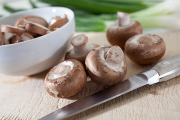 Bio Champignions
