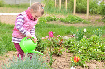 Watering flowers