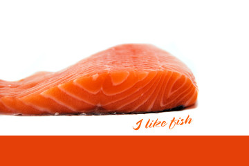 salmon, a piece of fish
