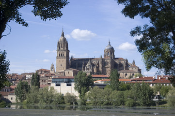 Fototapeta na wymiar Catedral de Salamanca