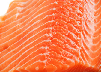 salmon, photographed at close range