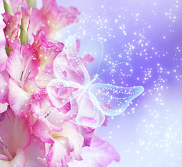Gladiolus and butterfly