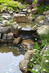 Naklejka na ściany i meble Small pond in a traditional chinese garden