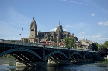 Fototapeta na wymiar Vista de Salamanca