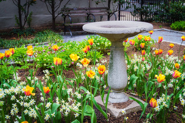 Obraz premium Old Bird Bath in the Park