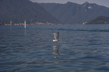 Obraz premium lago di como