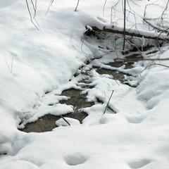 Stream flowing through snow covered landscape, Orangeville, Duff