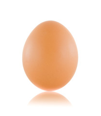 Egg isolated on white background