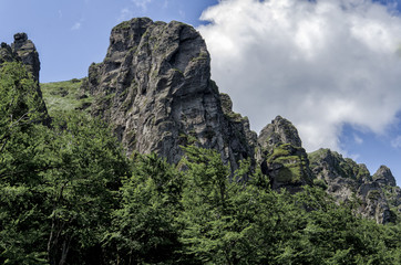 Obraz premium Mountain