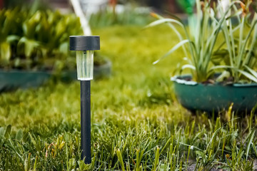 night illumination paths