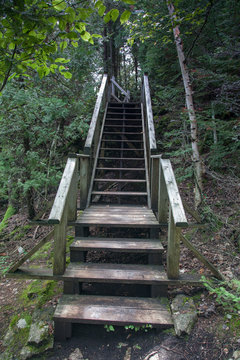 Staircase in a forest, Tobermory, Ontario, Canada © bruno135_406