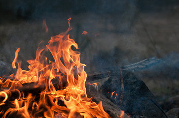 Planks burning in bonfire