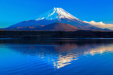 World Heritage Mount Fuji and Lake Shoji II - obrazy, fototapety, plakaty