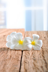 Obraz na płótnie Canvas white plumeria flowers on wood