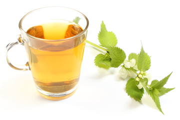 Fresh nettle with white flowers and cup of beverage