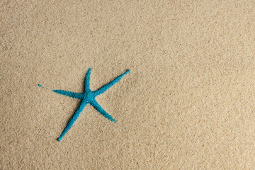 Starfish lying on the sand