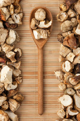 Wooden spoon with mushroom