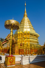 Fototapeta premium Golden pagoda wat Phra That Doi Suthep