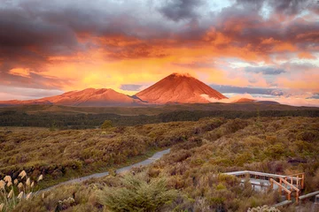 Photo sur Aluminium Nouvelle-Zélande Coucher de soleil au mont Ngauruho, Nouvelle-Zélande