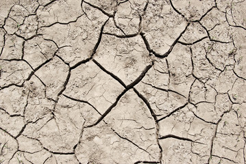 The cracks on the parched earth