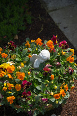 kleiner Engel im Blumenbeet