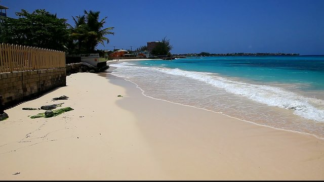 maxwell beach barbados