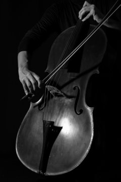Beautiful woman holding a cello with selective light and black d