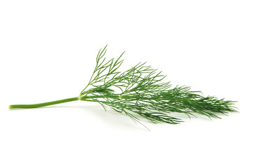 fresh dill