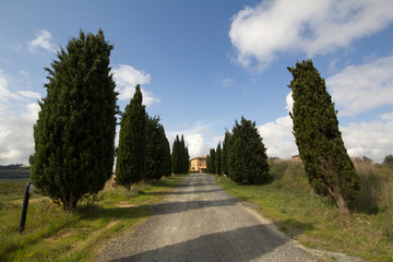 Case tipiche toscana, Tonda