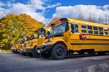Row of yellow school buses on a sunny autumn day