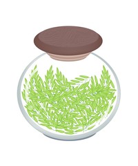 A Jar of Cereal Plant of Green Rice